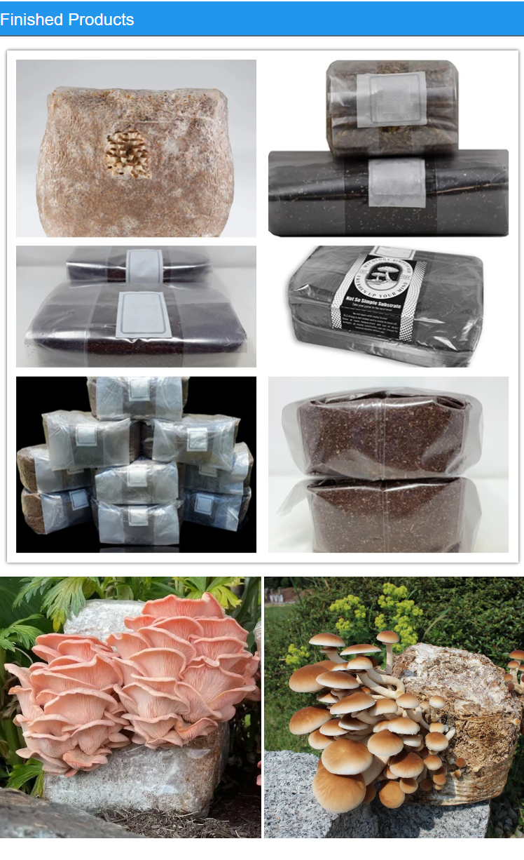 mushroom-machine-+86-15093228930_07.jpg