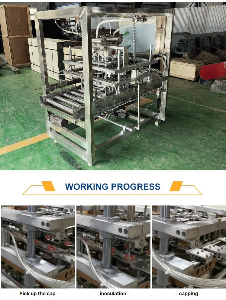 automatic-liquid-inoculation-machine_06.jpg automatic-liquid-inoculation-machine_06.jpg