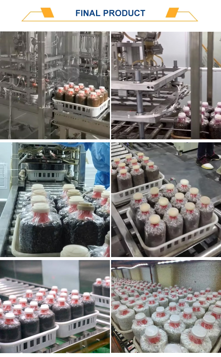 automatic-liquid-inoculation-machine_07.jpg automatic-liquid-inoculation-machine_07.jpg