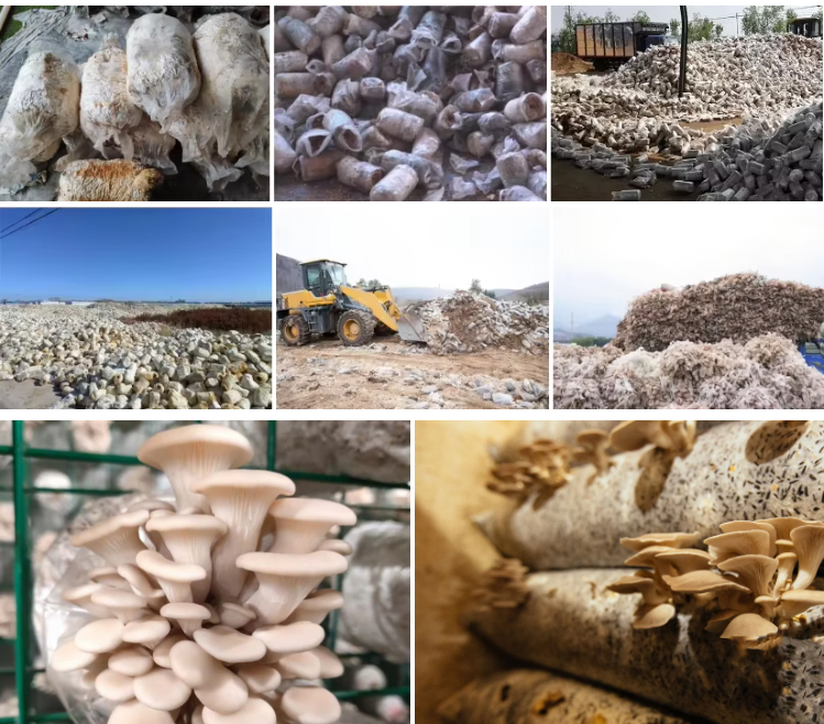 separator_09.jpg separator_09.jpg