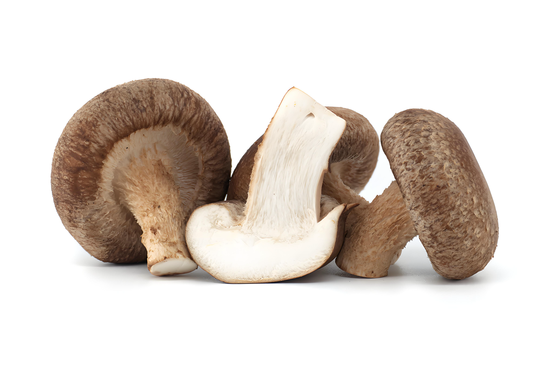 Shiitake mushrooms.png Shiitake mushrooms.png