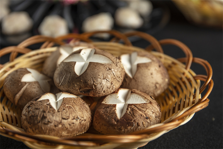 Shiitake Mushroom.jpg