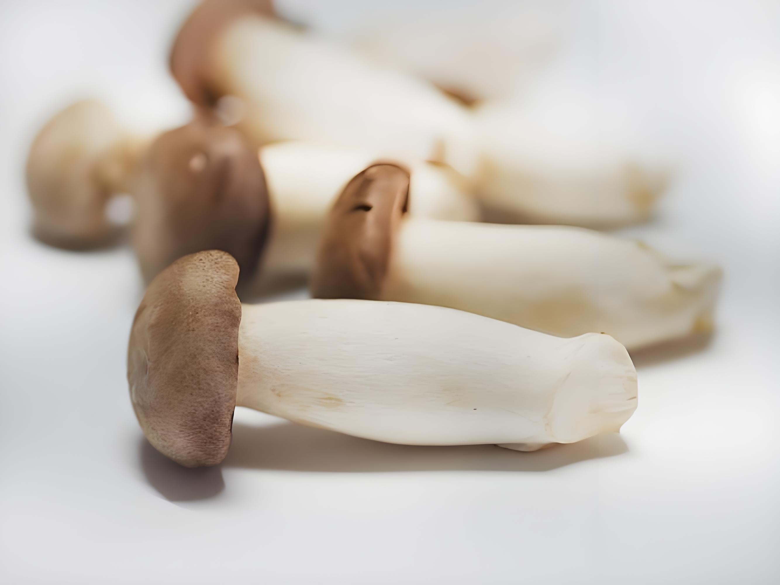 Overview of Pleurotus eryngii